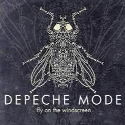 Depeche mode - fly on the windscreen (Syrob Edit)