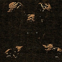 Copy of Daily Drops
