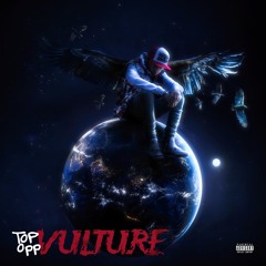 Top Opp Vulture