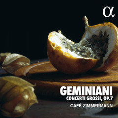 Concerto in D Major, H.115, Op. 7: I. Andante