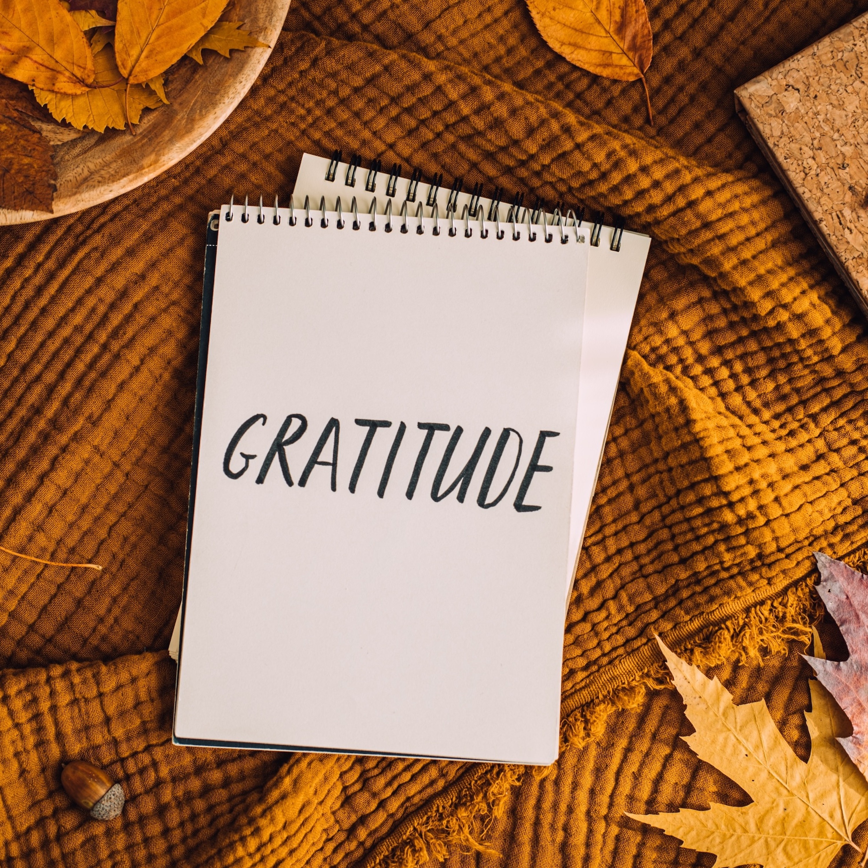 Gratitude - Advent III episode artwork