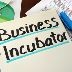 The NETZERO Incubator & Accelerator Is The Best Way To Advance Global Diplomacy