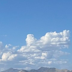 03 REC - 2023 - 08 - 13