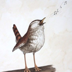 singing bird prod. eeryskies