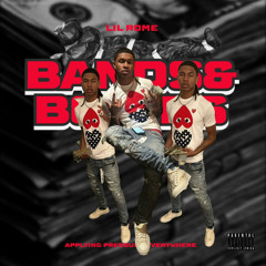 Bands N Bodies
