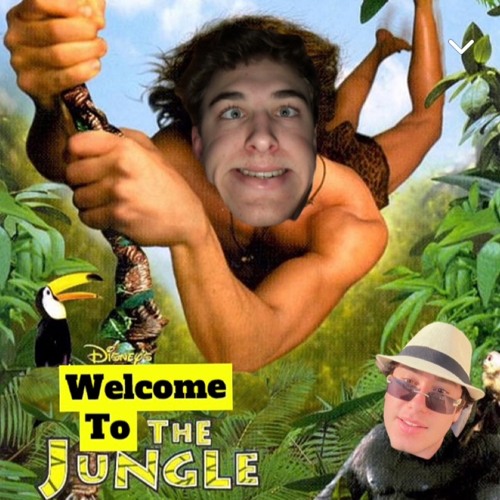 Welcome To The Jungle