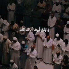 (وَابْتَغِ فِيمَا آتَاكَ اللَّهُ الدَّارَ الْآخِرَةَ) الشيخ عبد البديع غيلان