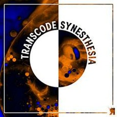 Transcode - Synesthesia [Respekt]