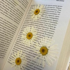 hehehe - миражи