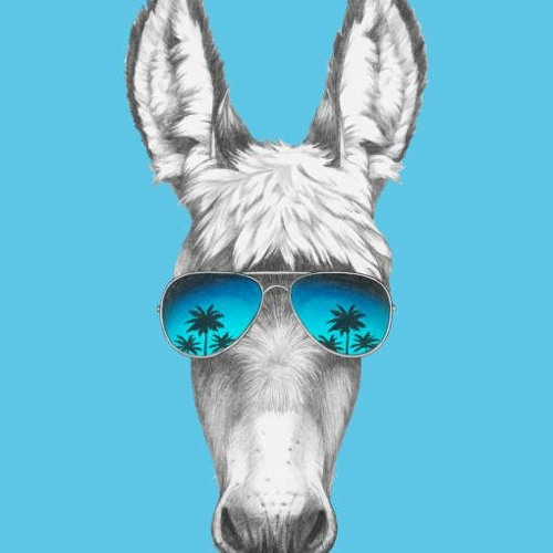 Wonky Donky Minimix