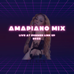 Amapiano Mix Live At Summer Link Up 2022
