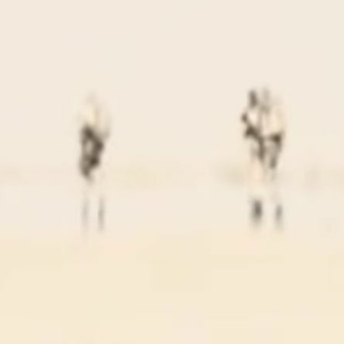 WAR