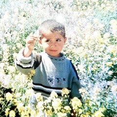 تبلغ بالقليل من القليل لأسامة الصافي