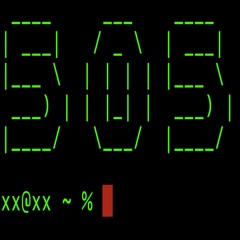 Zoom505 + Global Groove Nam June Paik 1973.B + Veneno Maldito Xavier Villaverde + Untitled Fall 9