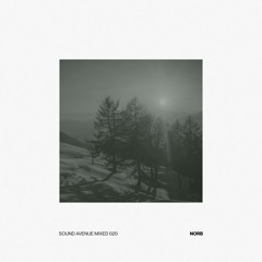 Sound Avenue Mixed 020 - NorB