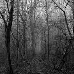 Dark Ambient