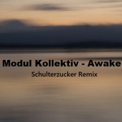 Modul Kollektiv-Awake (Schulterzucker Remix)