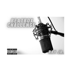 BEATBOX CHALLENGE FREESTYLE
