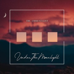 The Ambientalist - Under The Moonlight