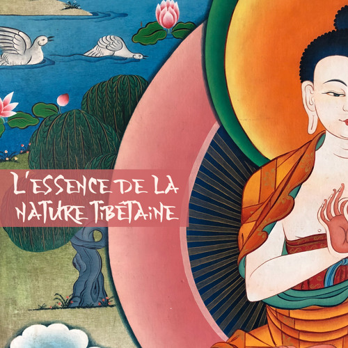 Stream Le pípa et le xun by Zone de la Musique Relaxante | Listen ...