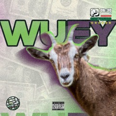 bando ft airhushy, nik