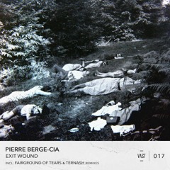Pierre Berge-Cia - Oblique (Fairgrounds of Tears Remix) [VAST017]