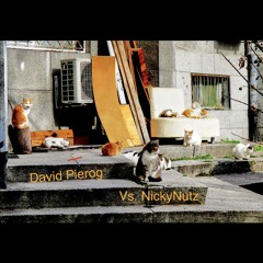 David Pierog Vs. NickyNutz 2.mp3