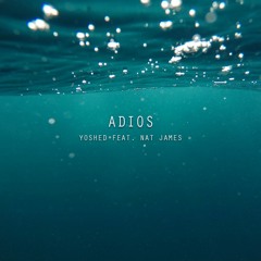 Adios (Feat. Nat James)