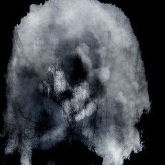 i was only temporary (my head is empty cover)