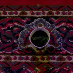 سادة المشاريع المبتورة| الشيخ بدر الثوعي