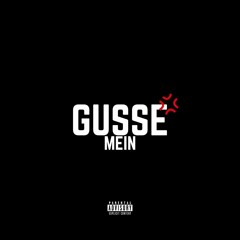 GUSSE MEIN FT. VAIRAGI