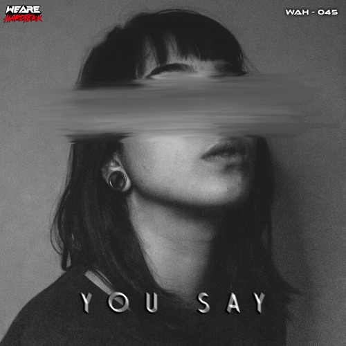 The Belgian Stallion & ScubaPro - You Say