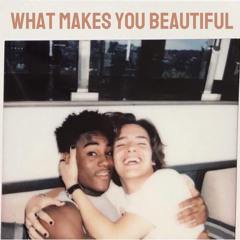 What Makes You Beautiful (Cover)- Noah & Lamar