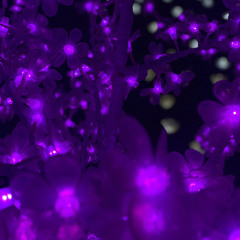 Cigarettes (Prod. idly blare)