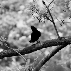 Searching