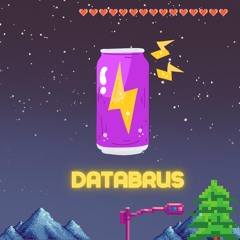 Databrus
