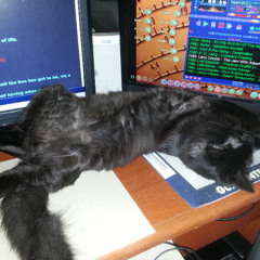 El Gato