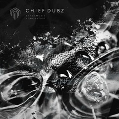 Chief Dubz - Syhda Music Podcast 053