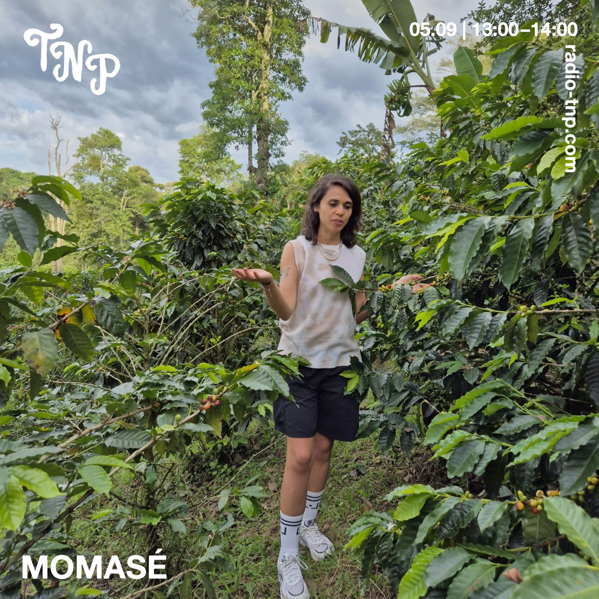 MomaSé