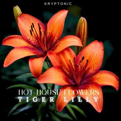 HOT HOUSE FLOWERS - TIGER LILLY REMIX