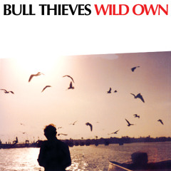 Bull Thieves - Wild Own