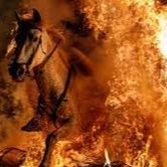 Kluk a oheň - Hořely koně
