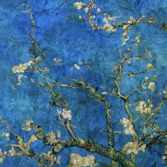 Cloud Jazz -5