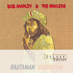 Roots, Rock, Dub (Single Dub Mix)