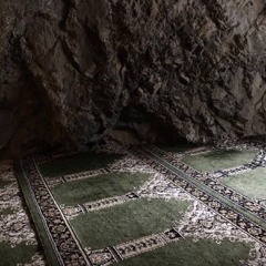 باب وفاة النبي ﷺ