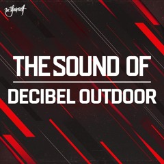 The Sound Of Decibel Outdoor | An ode to Decibel Outdoor