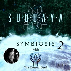 The Blossom Seed & Suduaya - Roots (Symbiosis Part 2 EP)