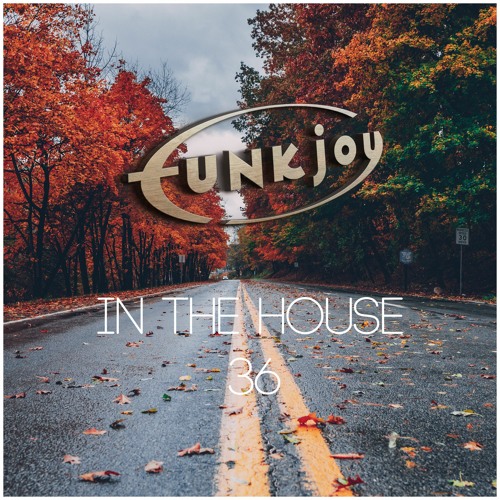 funkjoy - In The House 36