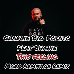 Charlie Big Potato Feat. Shanie - This Feeling (Mark Armitage Remix) [Nuhope Entertainment]