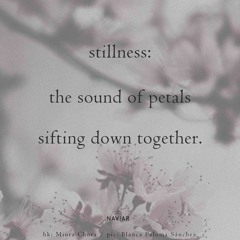 haiku #571: stillness: / the sound of petals / sifting down together.